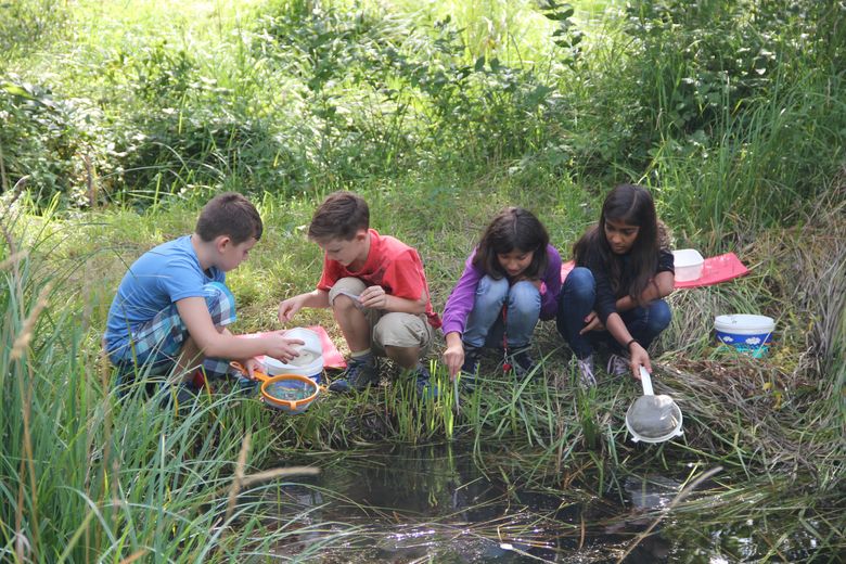 Naturerlebnisse und spannende Entdeckungen im Eichholz